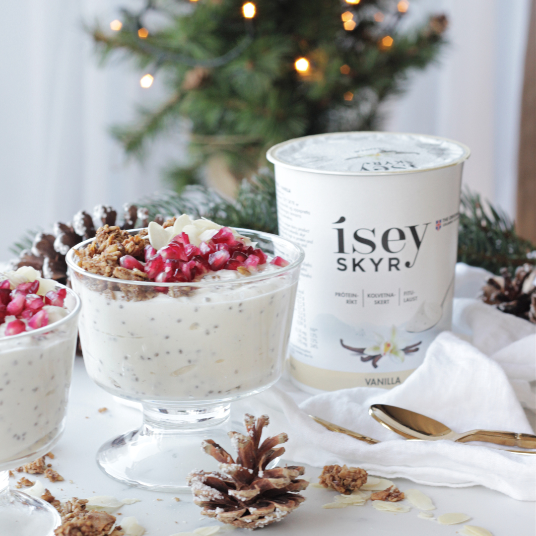 Christmas Skyr Bowl